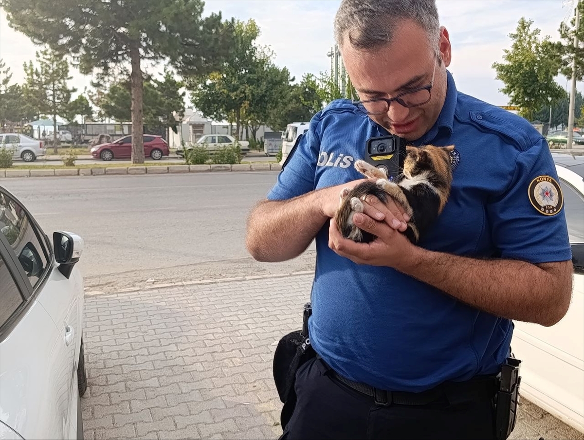Konya Beyşehir'de polis, otomobil motorundaki yavru kediyi kedi sesiyle kurtardı