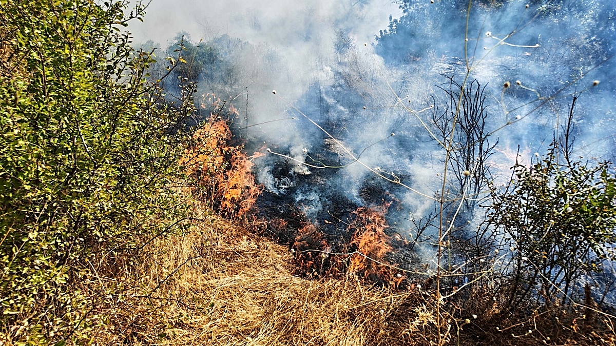 Manisa Demirci'de ormana sıçrayan yangın karadan 1 saatlik müdahaleyle söndürüldü
