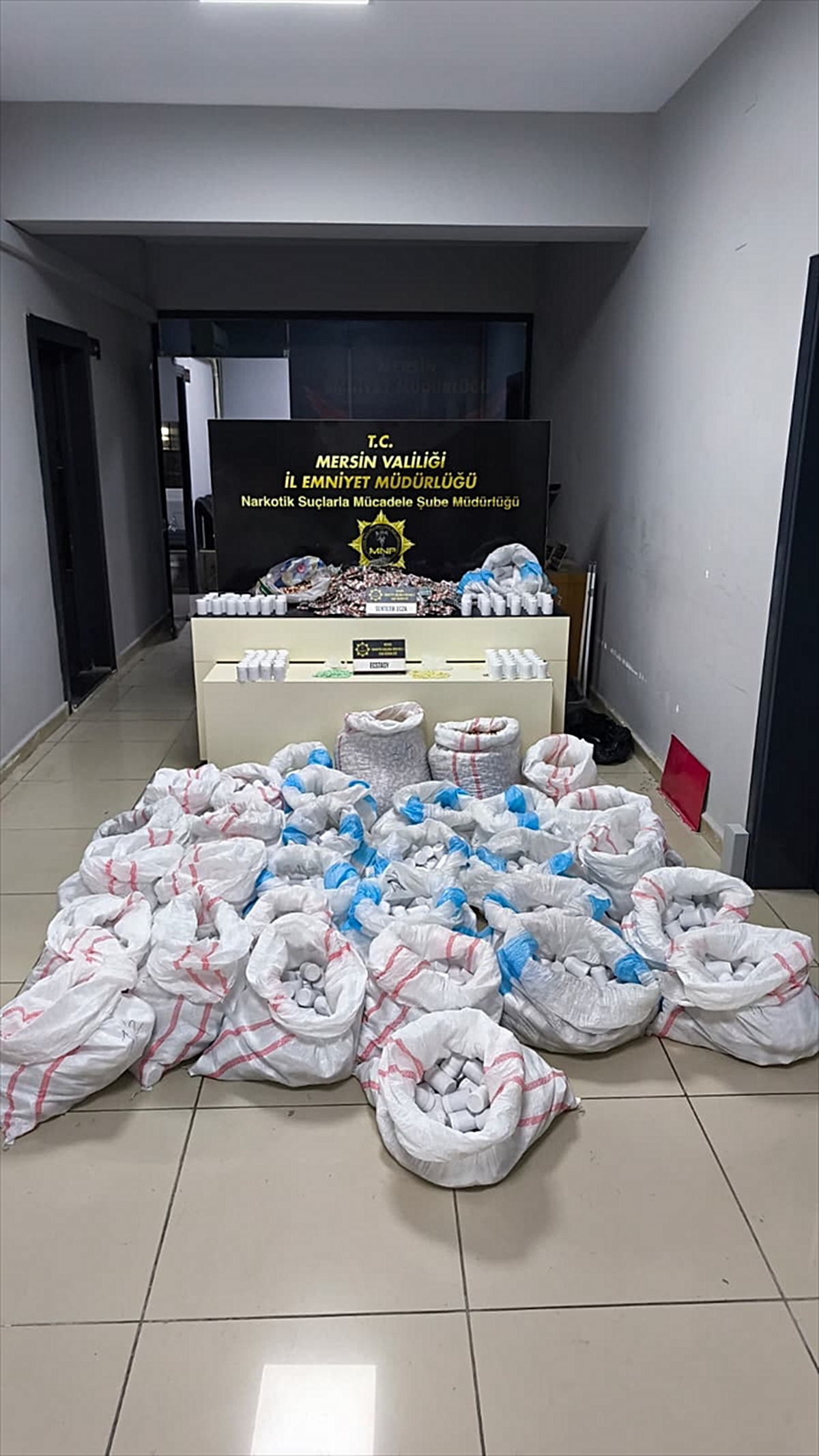 Mersin'de narkotik operasyonunda panelvanda 256 bin 900 sentetik hap ele geçirildi