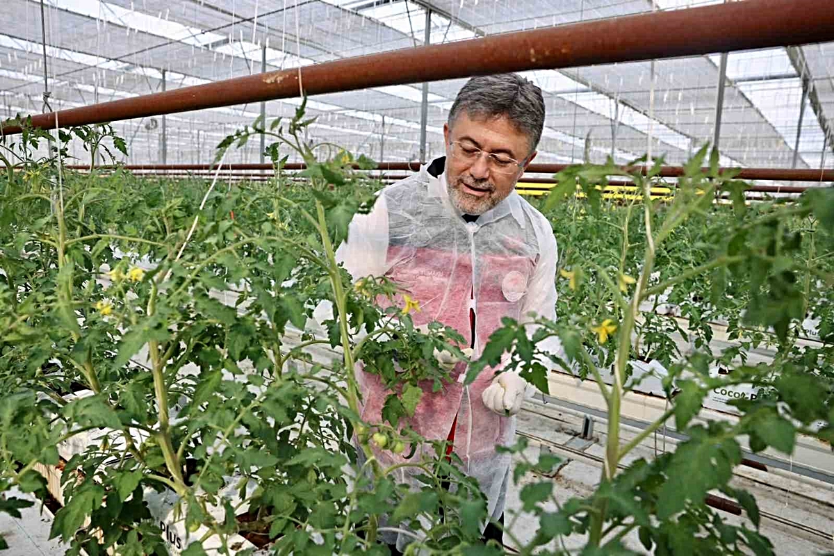 Yumaklı Erzincan’da jeotermal seranın 30 dönümde 90 dönüm verim sağladığını belirtti