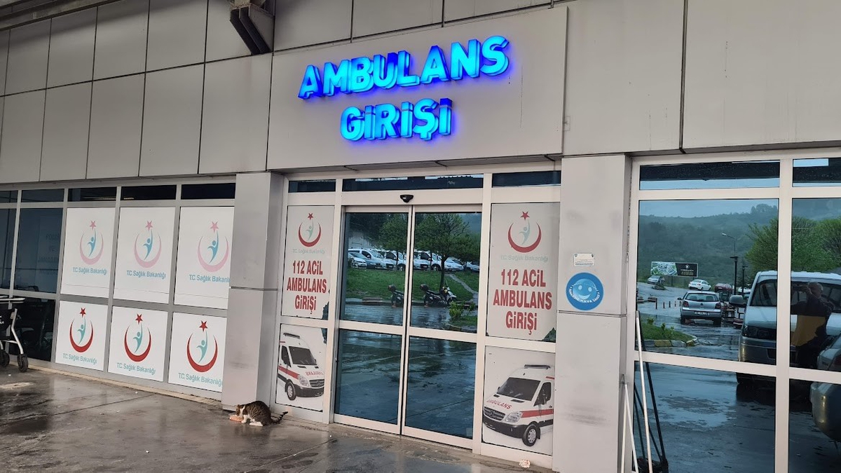 Zonguldak Alaplı'da ağaçtan düşen kişi ve merdiveni tutan kişi yaralandı