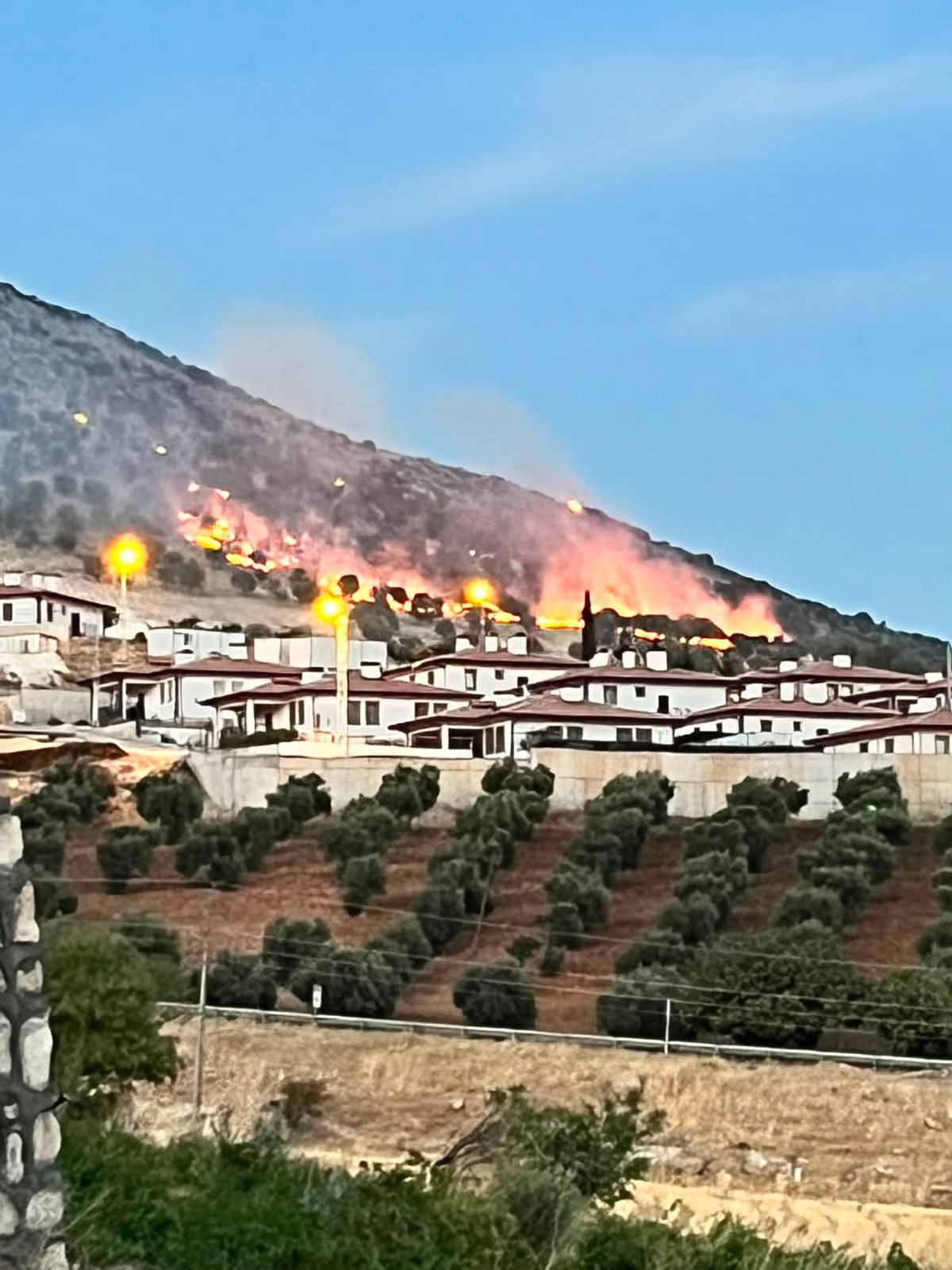 Adıyaman-Çelikhan yolunda Palanlı mevkiindeki orman yangını kontrol altına alındı