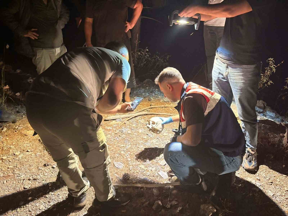 Mevlide gitmek için çıkmıştı, 15 aydır aranıyordu! Çobanın köpeği ormanda kafatası buldu, 50 metre ötede kimliği çıktı