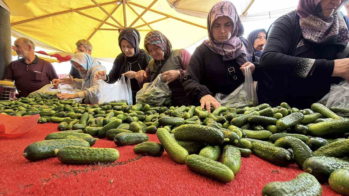 Bolu’da kışlık hazırlık başladı, pazarlarda salçalık ve turşuluk ürünler ilgi görüyor