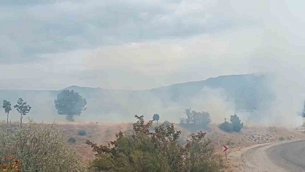 Bolu Seben'de yangın yaklaşık 8 dönüm araziye zarar verdi, HES'lere ulaşmadan söndürüldü