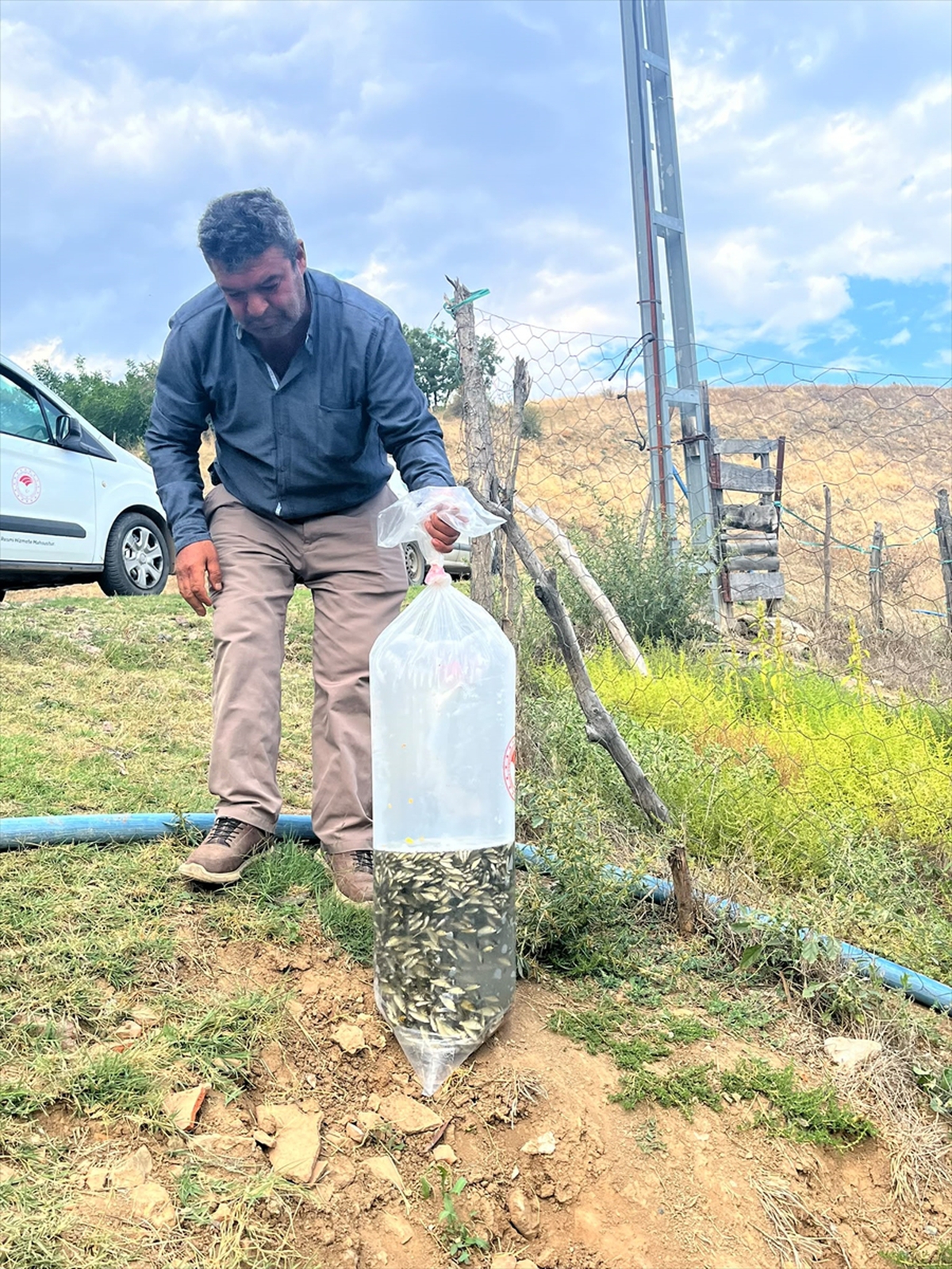 Dodurga'da Kuyucak köyü göletine İlçe Tarım ekiplerince yavru balık salındı