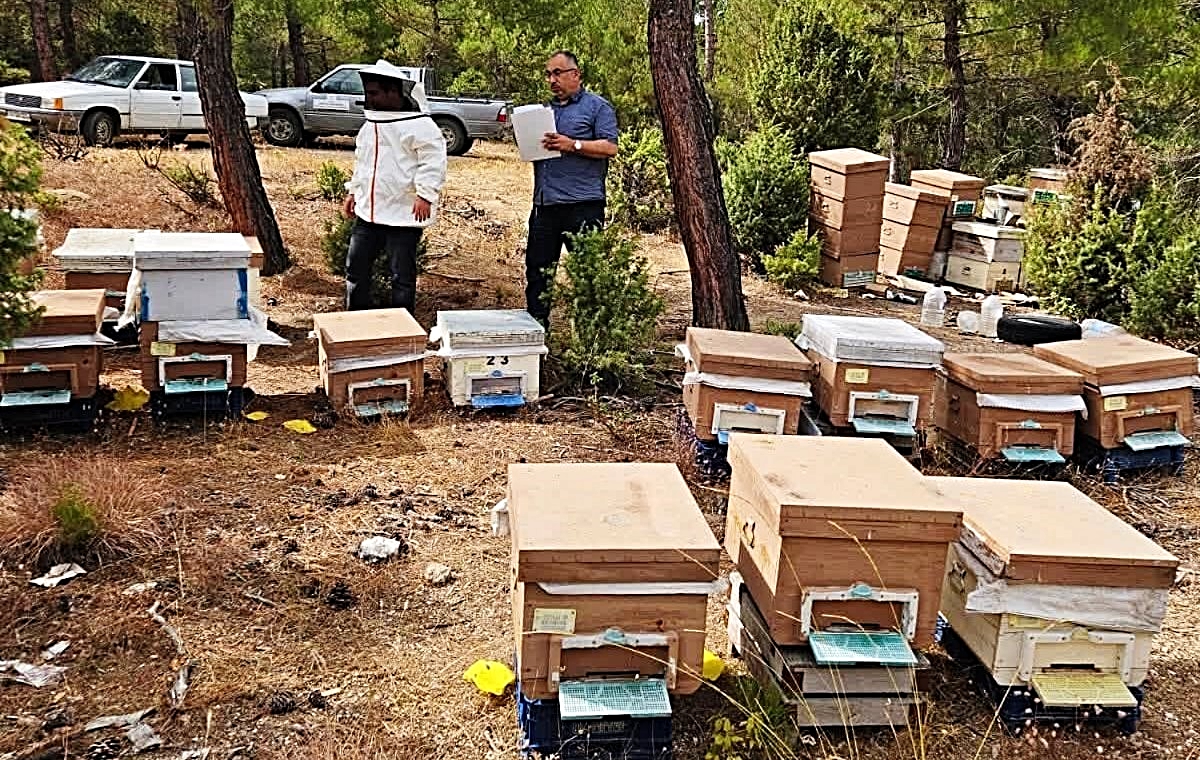 Emet İlçe Tarım ve Orman Müdürlüğü merkez ve Eğrigöz'de arılı kovan tespiti yaptı
