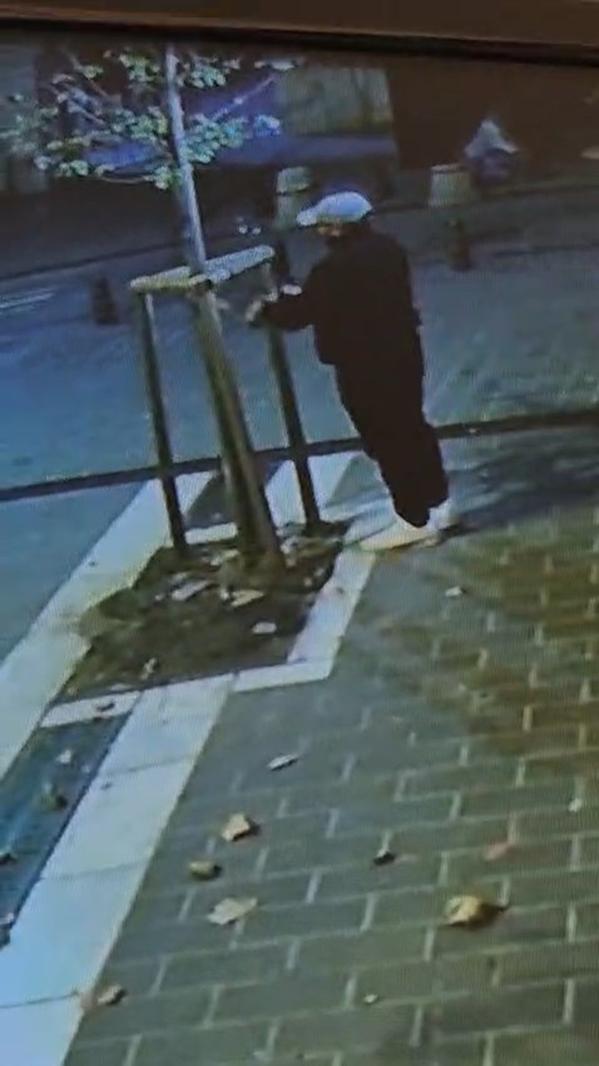 Fatih’te kuyumcu vitrinini engellediği iddia edilen ağacı bir kişi gece kesti