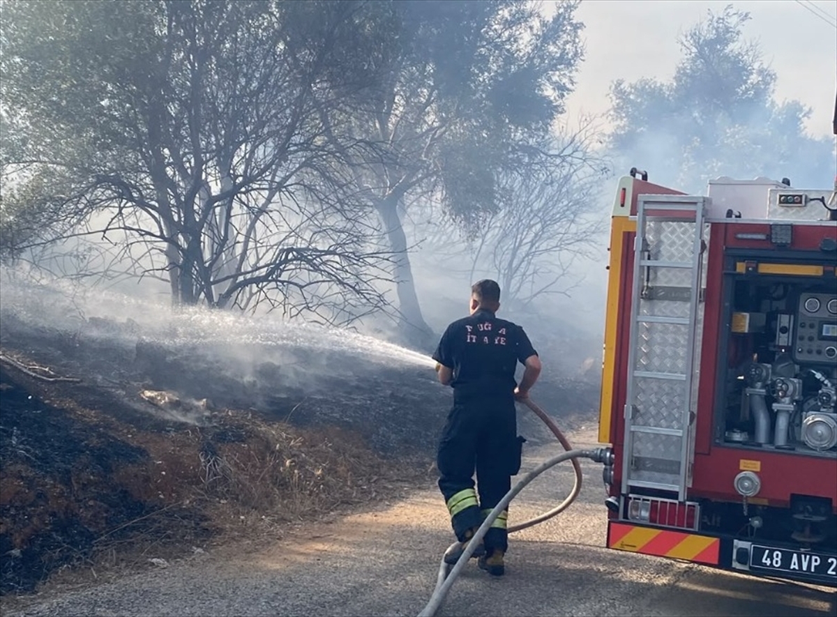 Muğla Milas'ta otluktan zeytinliğe sıçrayan yangın havadan ve karadan söndürüldü