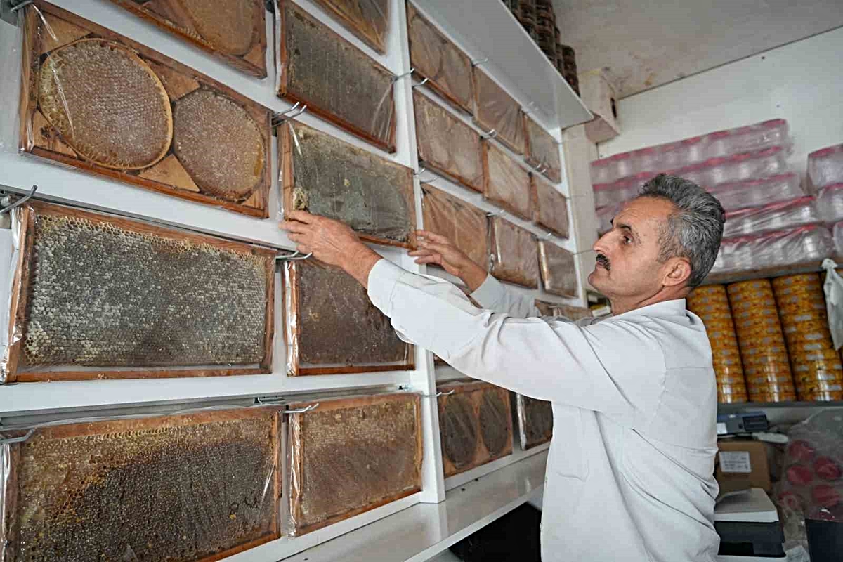 Muş Ovası'nda 710 arıcı, 290 bin kovandan yaklaşık 700 ton bal hasadı yaptı