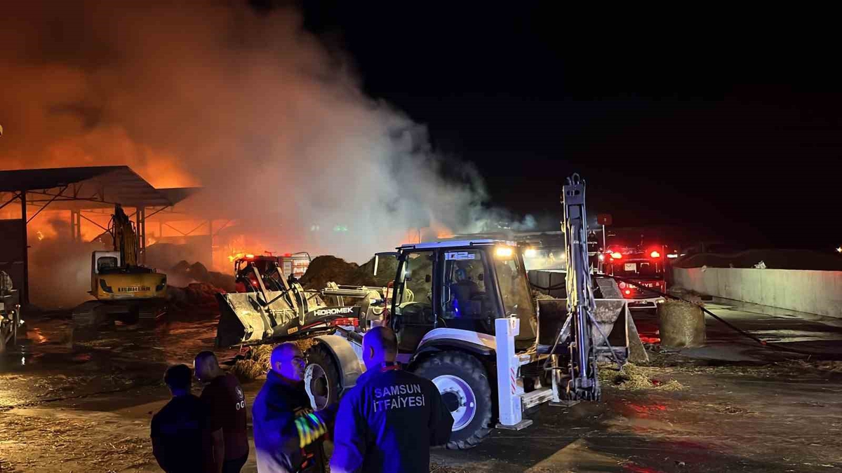 Samsun-Sinop kara yolundaki çiftlikte saman deposu yangınına müdahale sürüyor