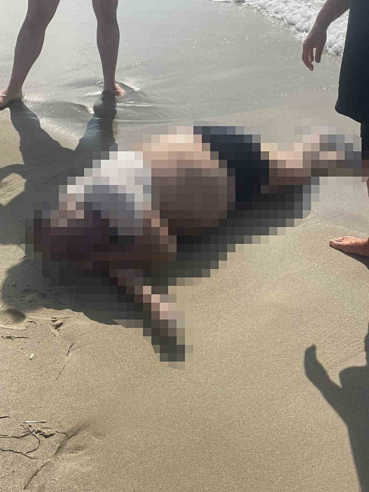 Rıza Muslu'nun cansız bedeni Kuşadası'nda bulundu