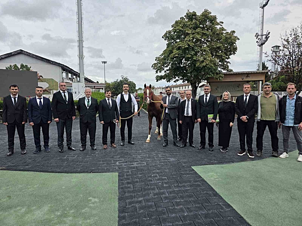 TİGEM'in elit tay müzayedesinde 13 safkan tay 51 milyon 600 bin TL'ye satıldı