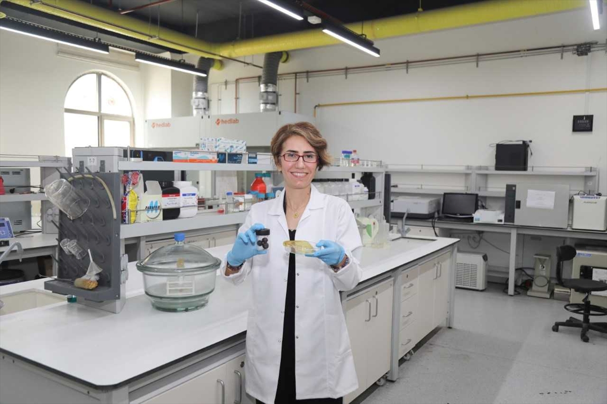TÜBİTAK, BTÜ'nün gıda atıklarından ambalaj geliştirecek projesine destek verdi