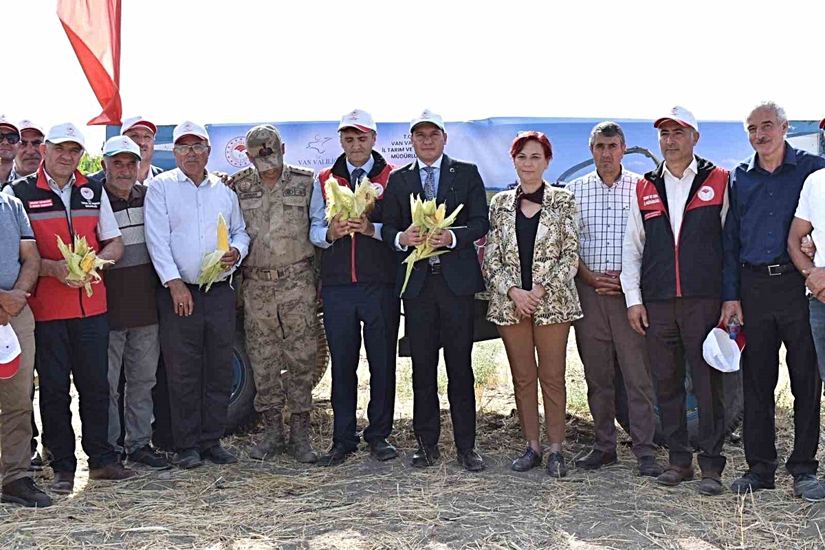 Tuşba’da 1.500 dekarda silajlık mısır hasadında dekardan 6-7 ton verim alınıyor