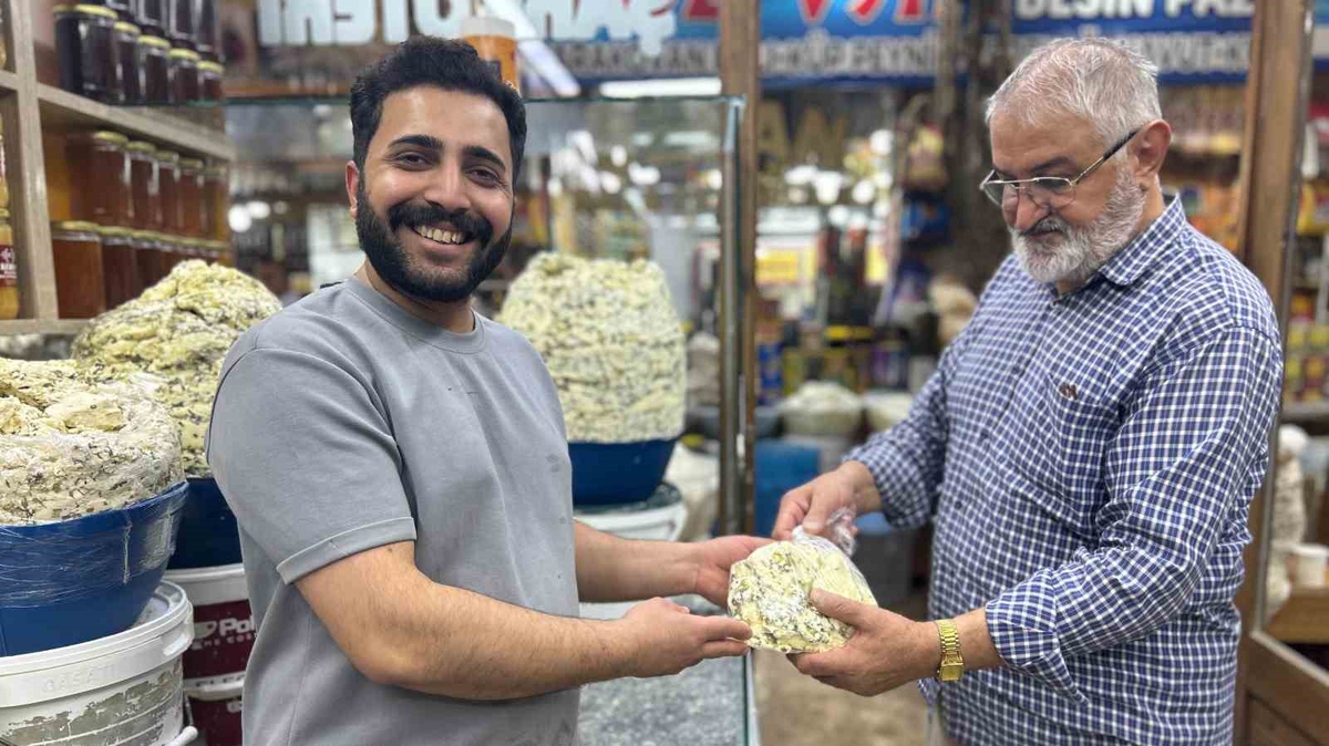 Van'da otlu küp peyniri tezgahlarda yerini almaya başladı, 700-800 TL arasında satılıyor
