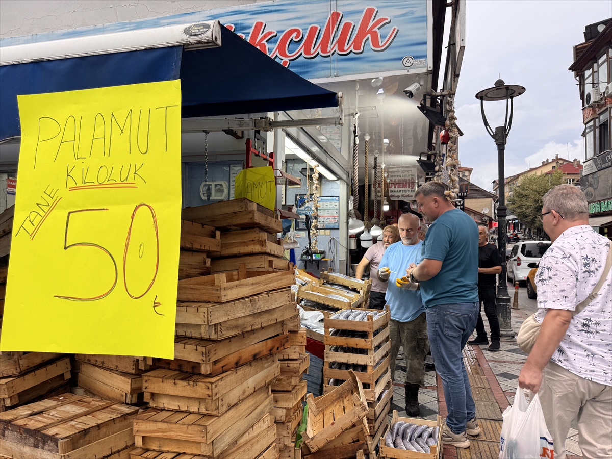 Karadeniz'de palamut bereketi! Bartın'da tezgahta tanesi 50 liraya düştü