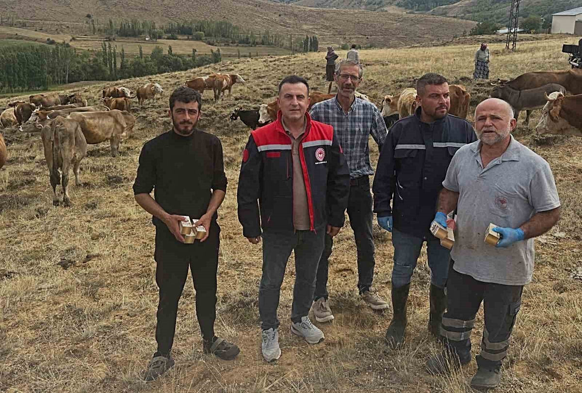 Bayburt Aydıntepe’de Tarım ve Orman Müdürlüğü yonca otlatmada şişkinlik uyarısı yaptı