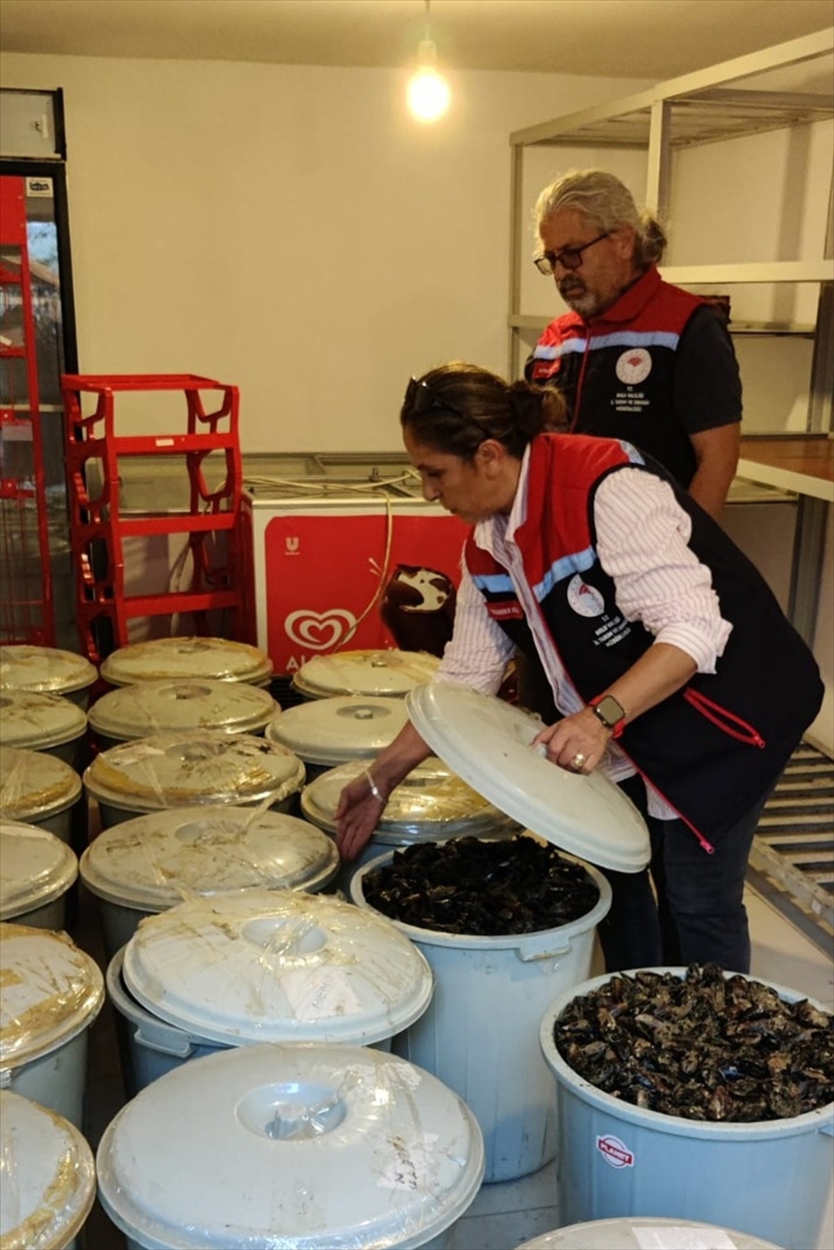 Bolu Abant gişelerinde denetimde 650 kilo bozuk midye bulundu, 1 kişiye ceza kesildi