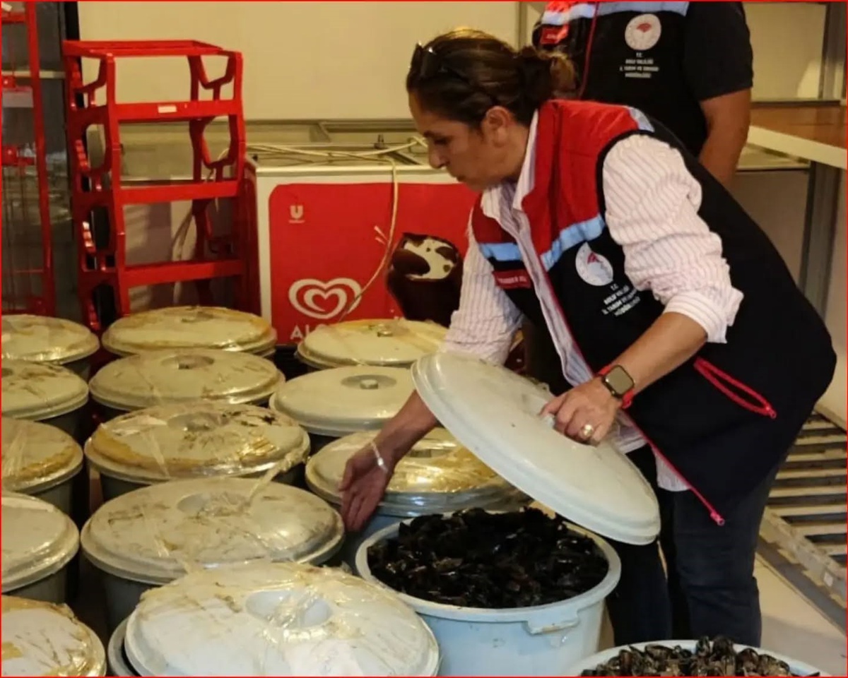 Bolu'da Abant gişelerinde 650 kilo bozuk midye imha edildi, sorumlusuna ceza verildi