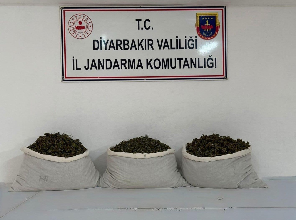 Diyarbakır'da jandarma 253 bin 752 kök kenevir, 42 kilo 600 gram esrar ele geçirdi