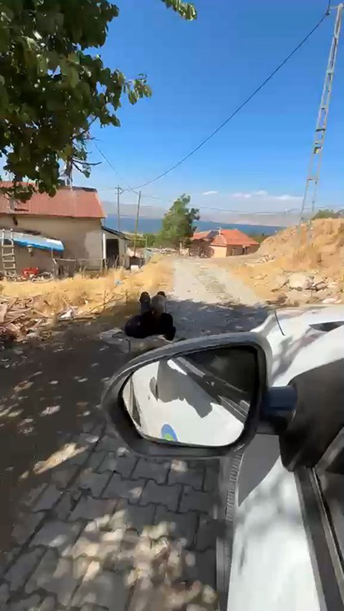 Elazığ Değirmenönü'nde yaşlı adam elinden zincirle ağaca bağlanmış halde görüntülendi
