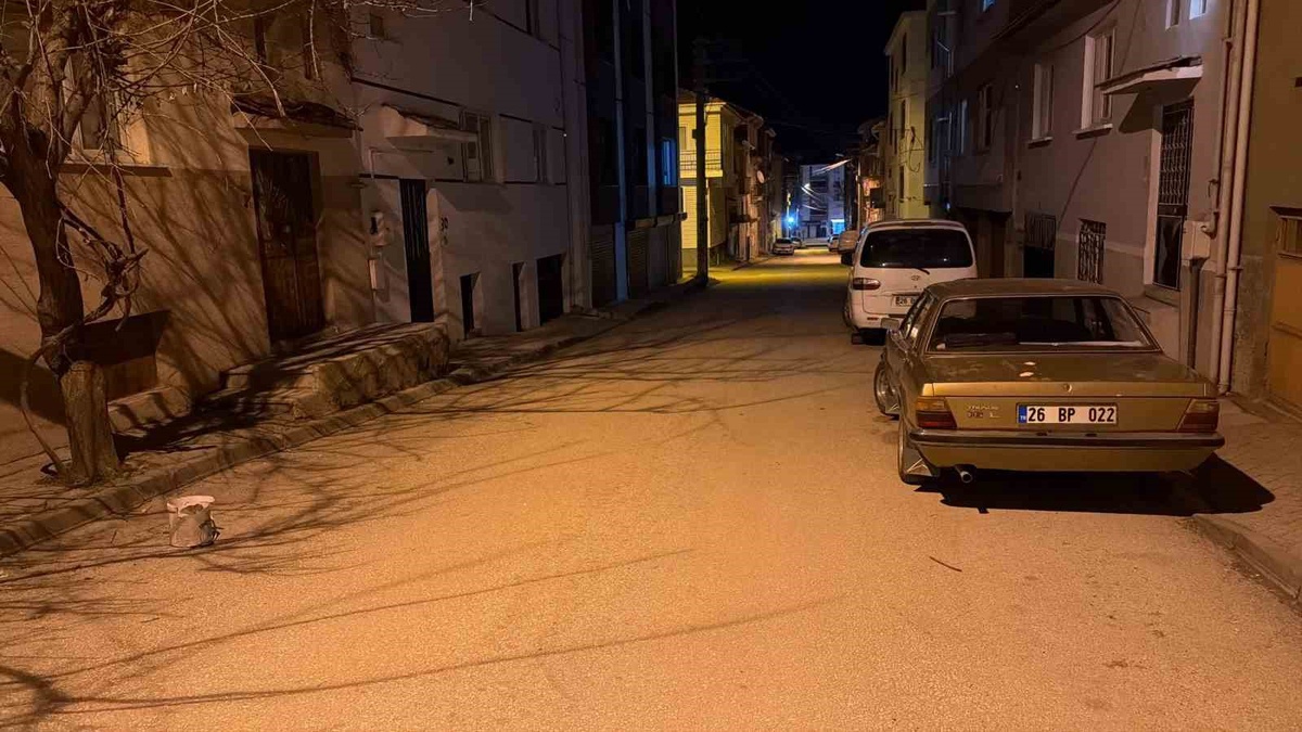 Eskişehir'de 17 yaşındaki gencin bıçaklandığı davada savcı 3 sanık için ceza istedi
