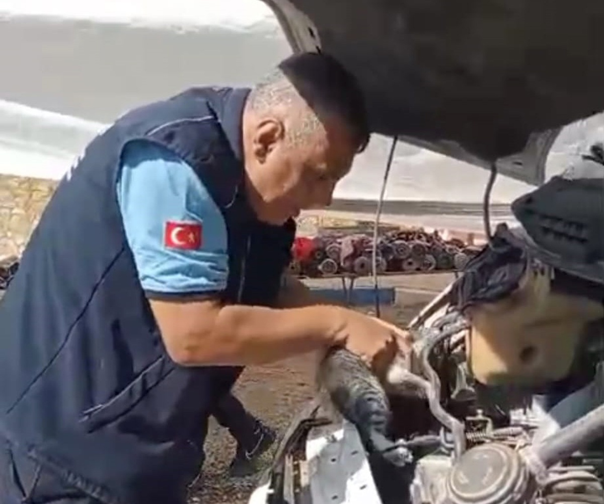 Gaziantep İslahiye'de motor bölümüne sıkışan yavru kedi 45 dakikada kurtarıldı