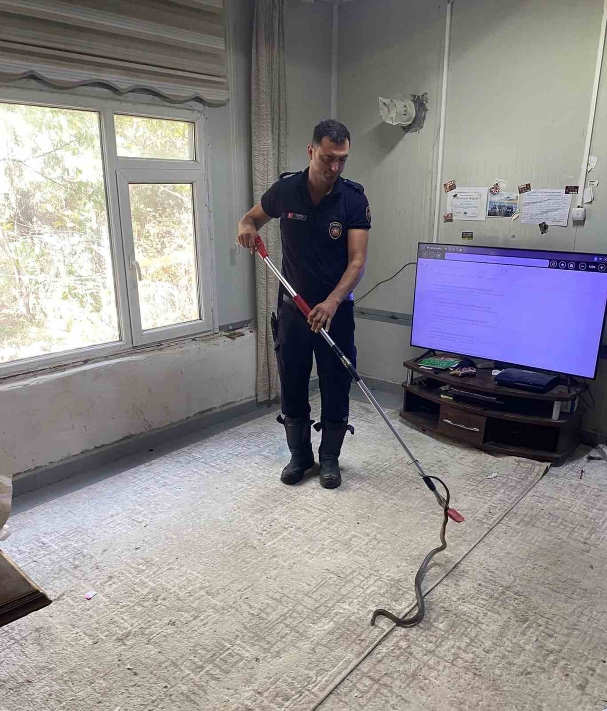 Hatay Defne'de eve giren yılan itfaiye ekiplerince zarar verilmeden yakalandı