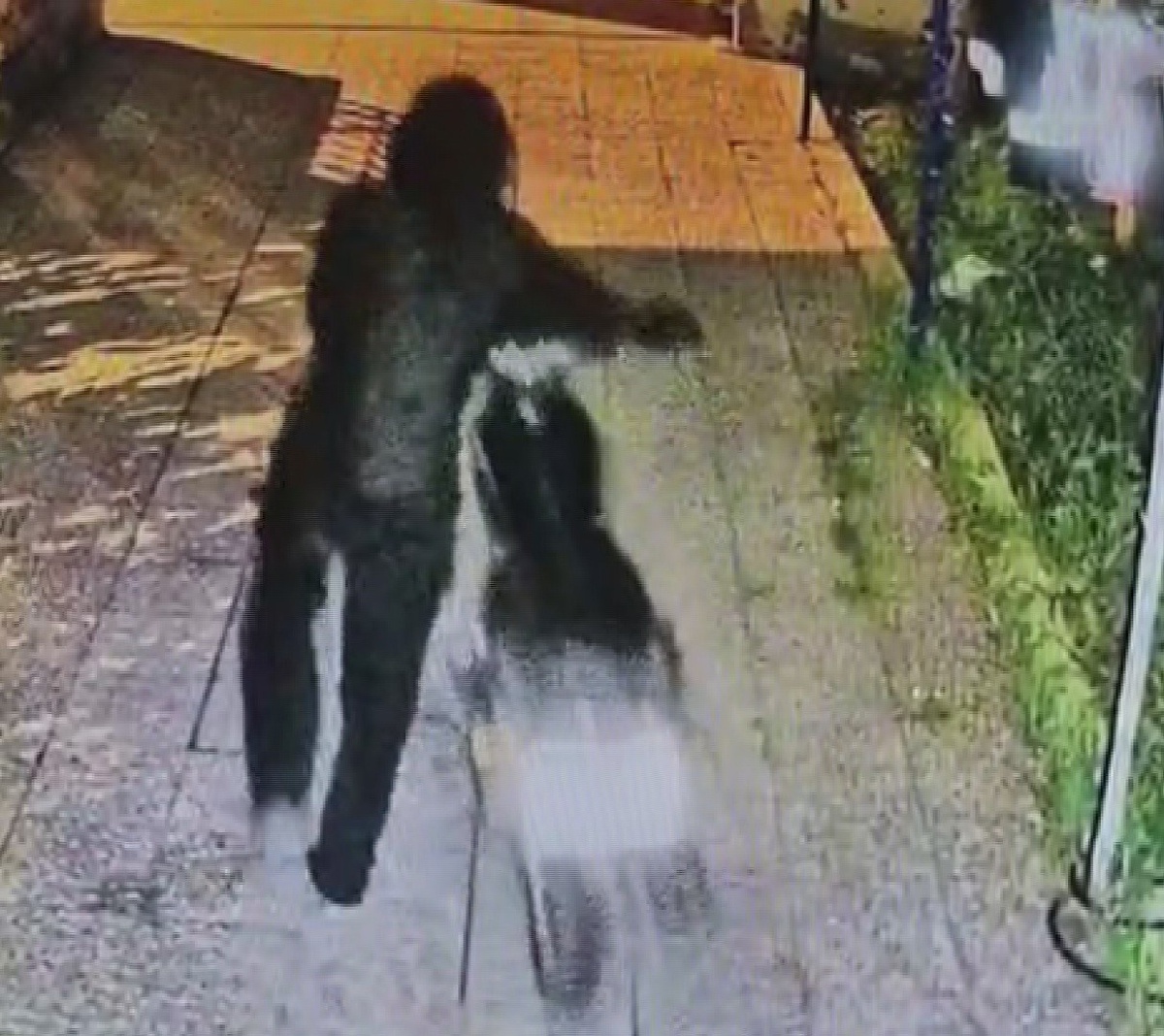 Hatay Reyhanlı'da maskeli 2 hırsız avludan vatandaşın ikinci motosikletini çaldı