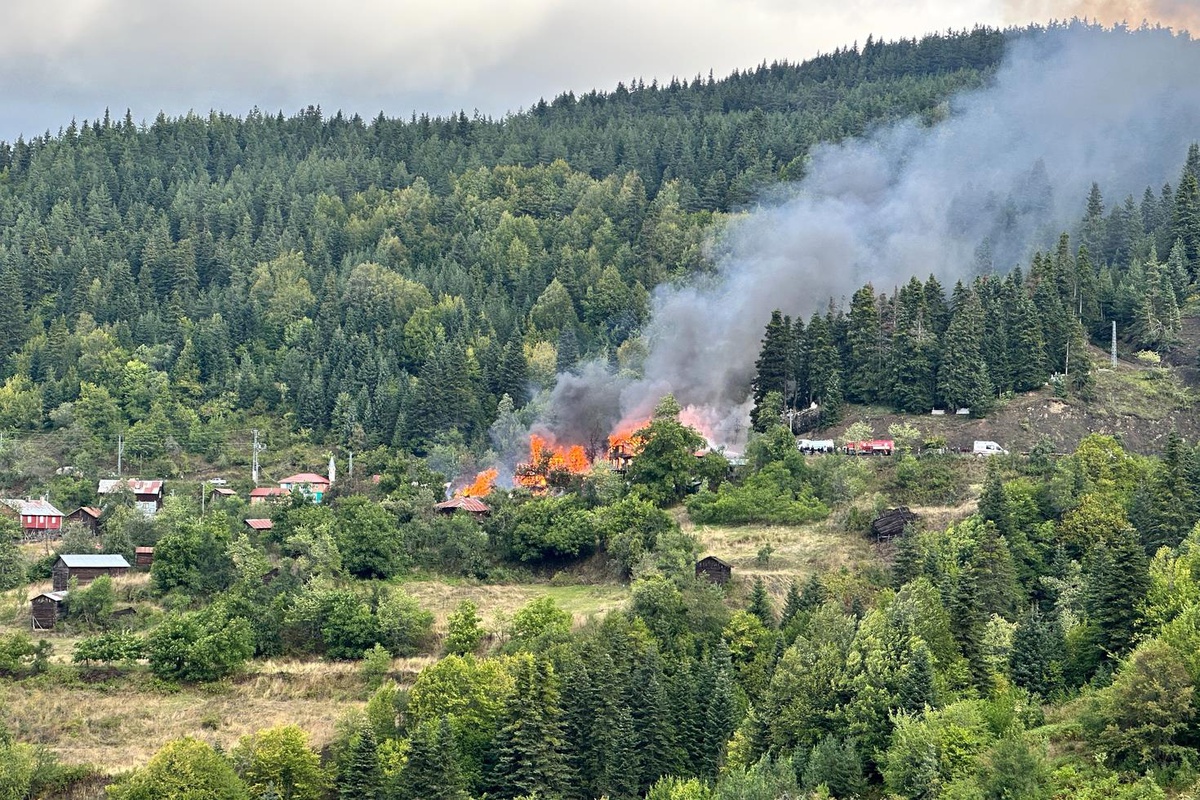 Kastamonu'da 10 evin zarar gördüğü yangın kontrol altına alındı