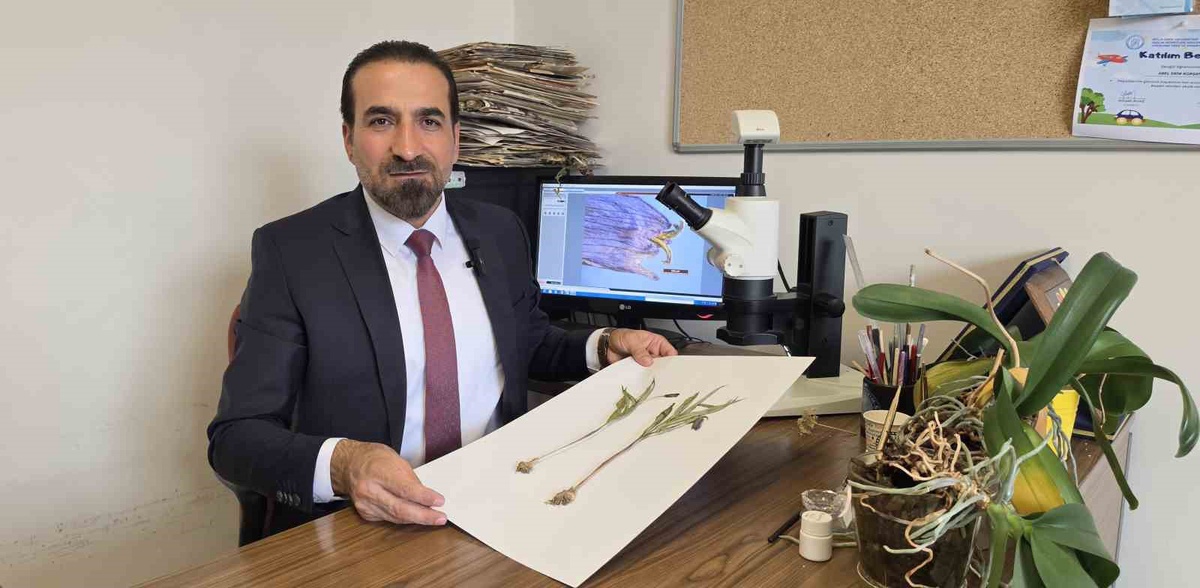 Muş Kurtik Dağı'ndaki yeni bitki türü Fritillaria damlana bilim dünyasına girdi