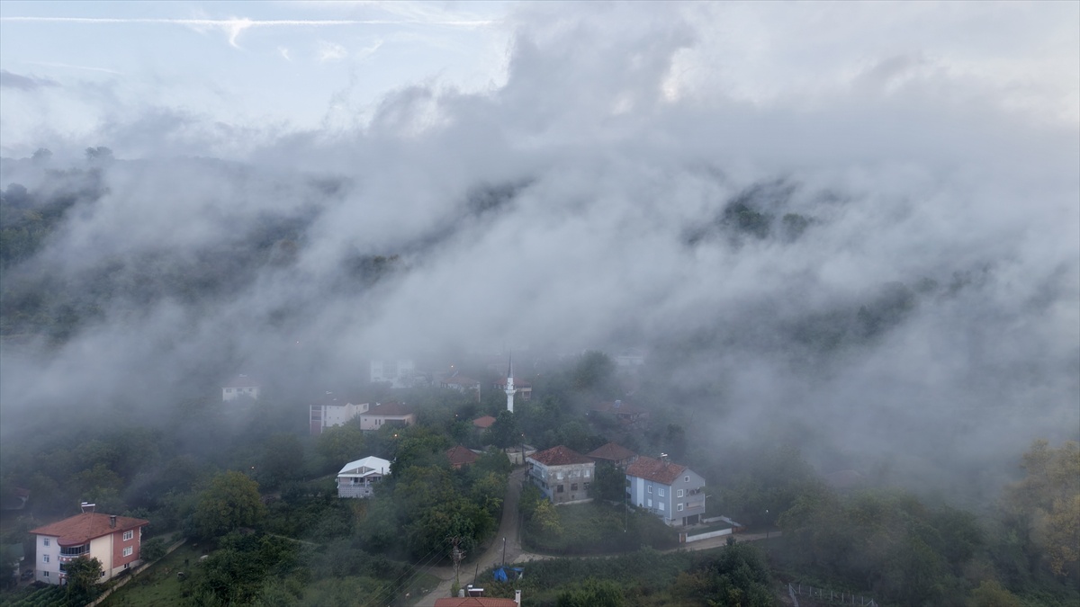 Sinop Türkeli'de sağanak sonrası oluşan bulutlar ormanlık alanda dronla görüntülendi