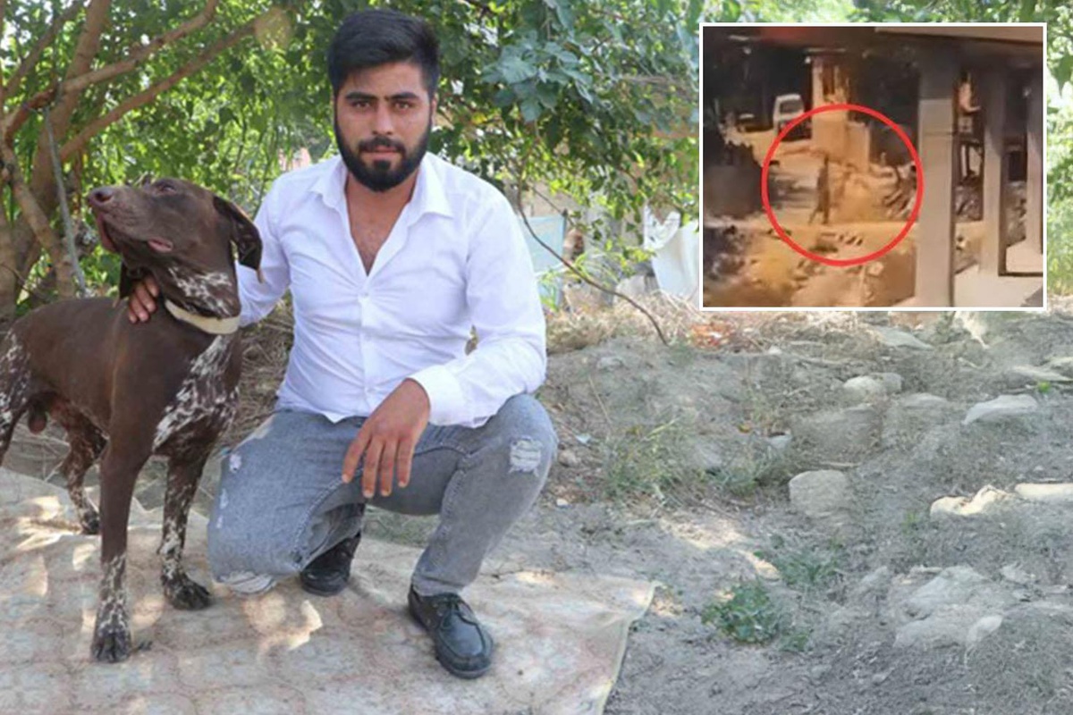Köpeğini kanlar içinde buldu! Kamerayı açınca komşusunu gördü