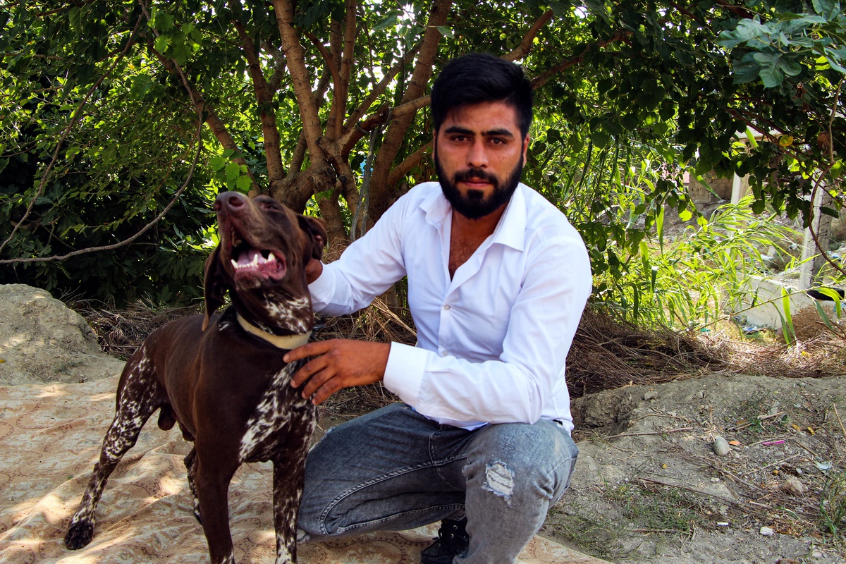 Adana'da uyuyan köpeği sopayla döven komşu 'tavuklarımı yedi' dedi, serbest kaldı! O anlar kamerada