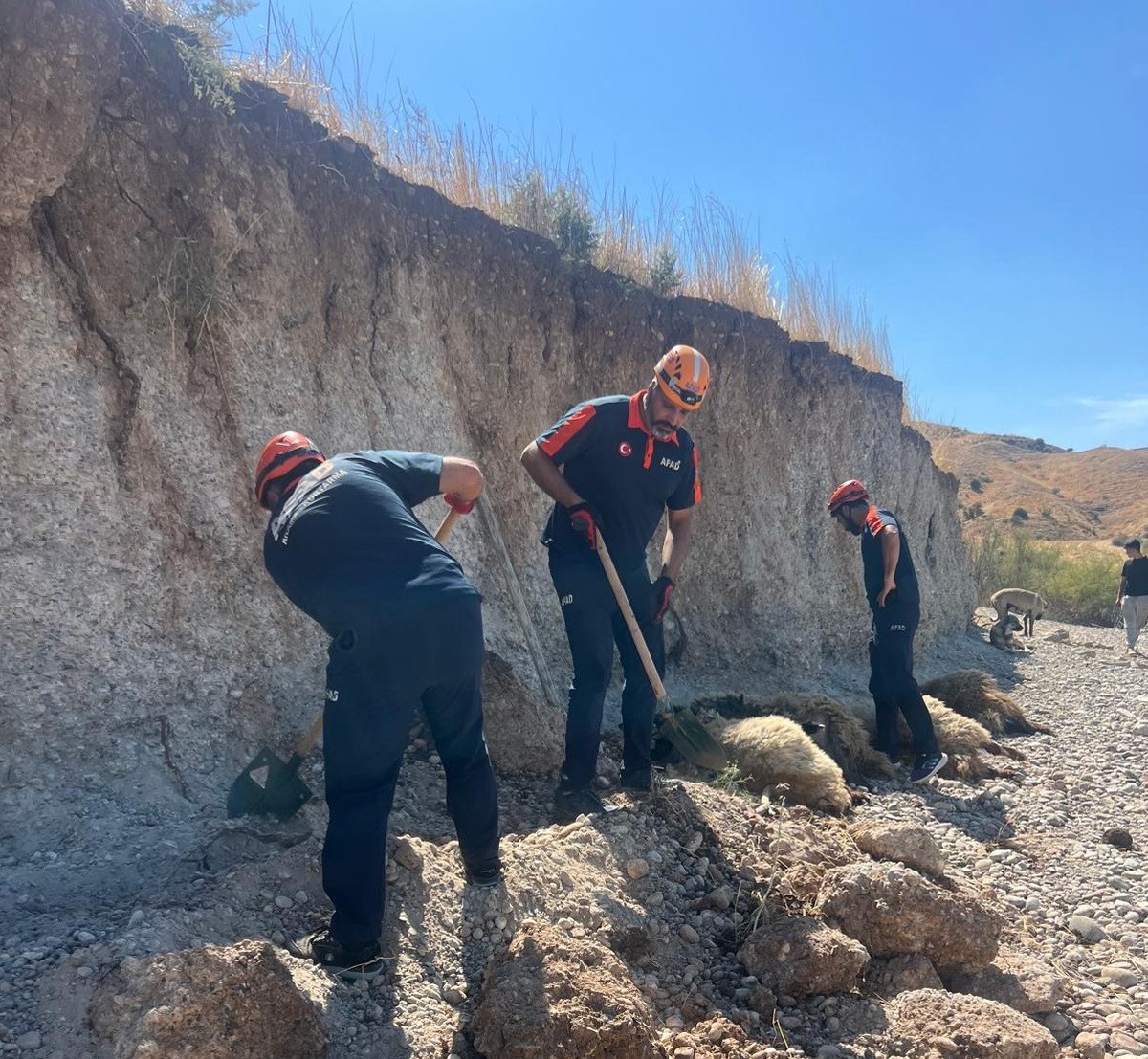 Adıyaman Kahta'da toprak kayması 6 küçükbaş hayvanı telef etti, AFAD 3'ünü kurtardı