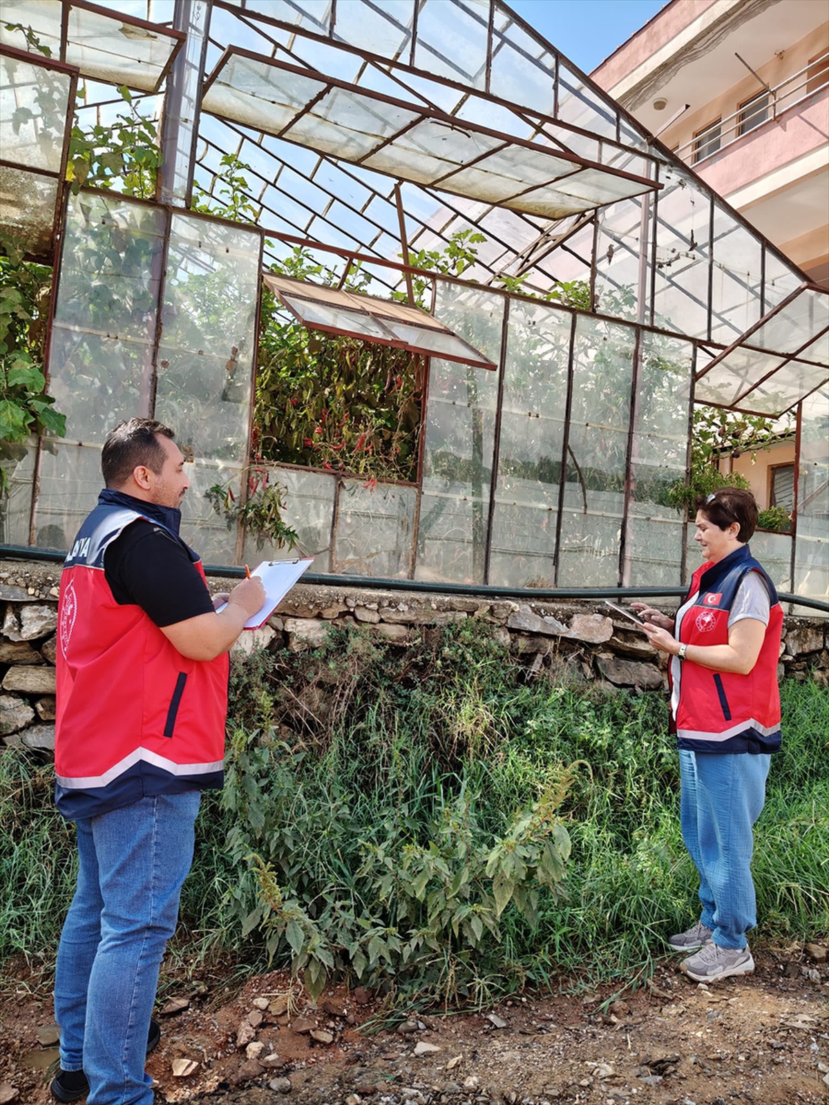 Alanya'daki 22 bin dekar sera, İlçe Tarım ve Orman Müdürlüğünce puanlanacak
