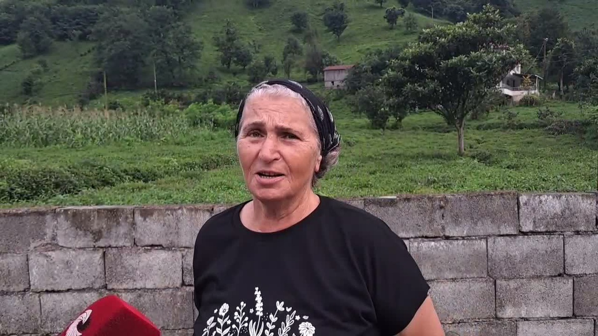 Artvin Kemalpaşa’da çay üreticileri işçilik, gübre ve ÇAYKUR kotasından yakındı