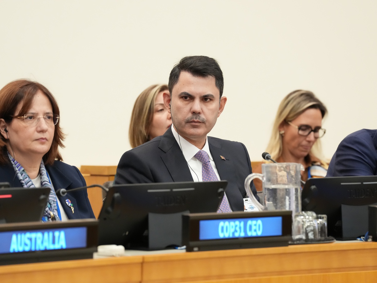 Bridge'in ilk pilot ülkeleri Etiyopya, Fiji, Endonezya, Pakistan ve Özbekistan oldu