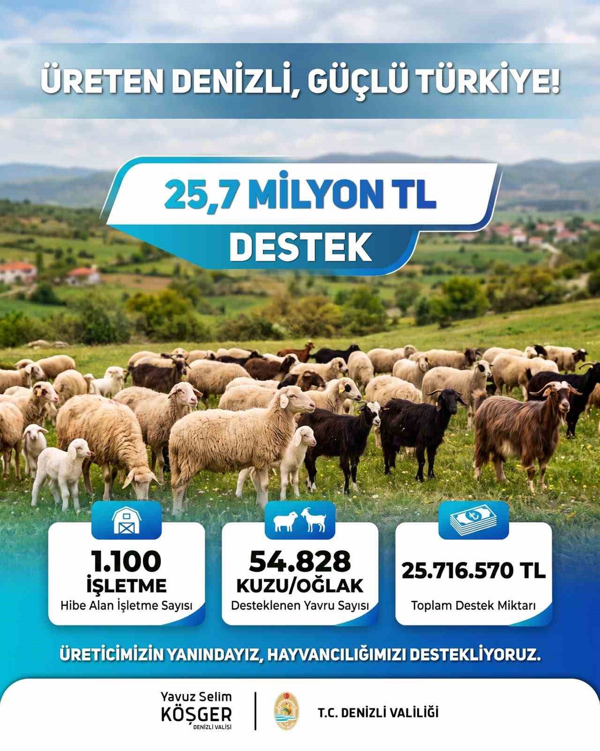 Denizli'de 1.100 işletmeye 25,7 milyon lira kuzu/oğlak desteği