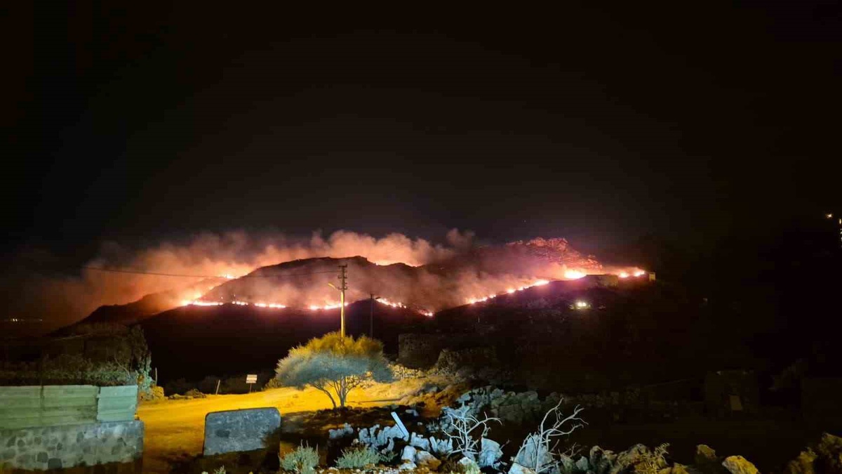 Bodrum'da gece saatlerinde korkutan yangın! Rüzgarla yayılan alevlere müdahale sürüyor