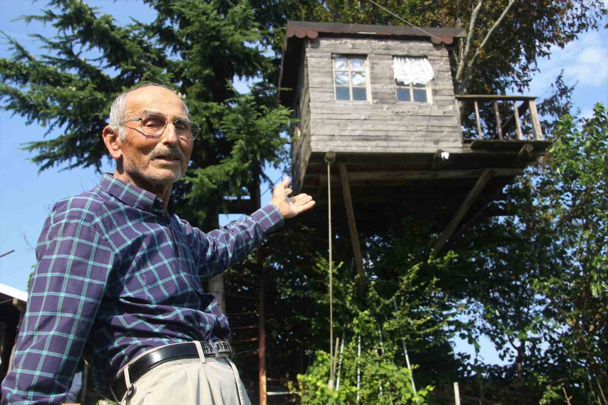 Ordu'da 85 yaşındaki Adnan Çandır, 90 yıllık meşe ağacına 16 metrekarelik ev yaptırdı