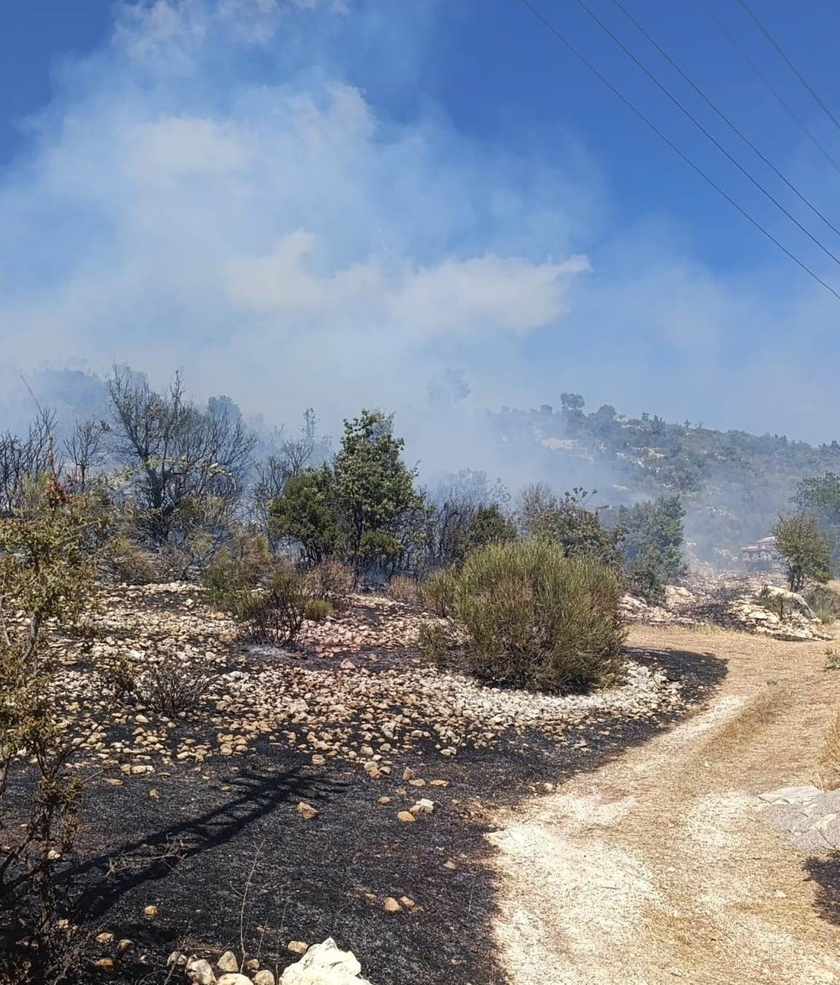 Silifke'de çıkan yangın, helikopter ve arazözle evlere varmadan kontrol altına alındı