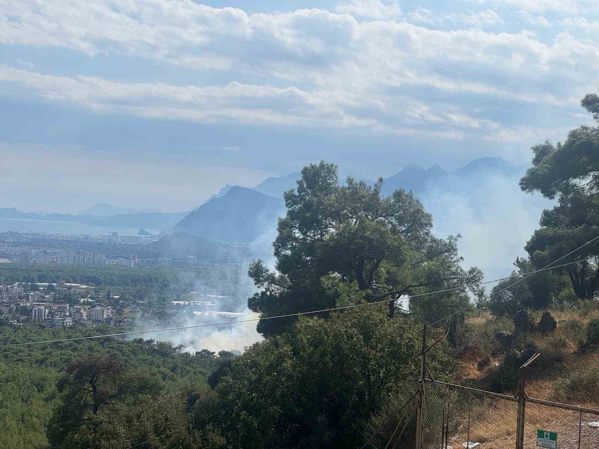 Antalya Kepez Santral Mahallesi'nde orman yangını