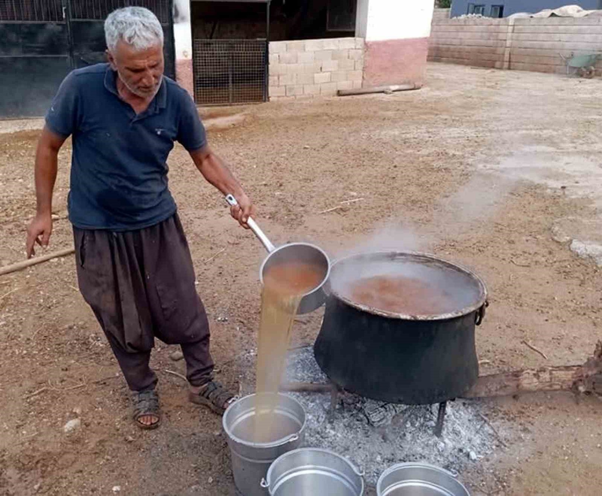 Araban’da bağ bozumu başladı, gün pekmezi güneşte günlerce bekletiliyor
