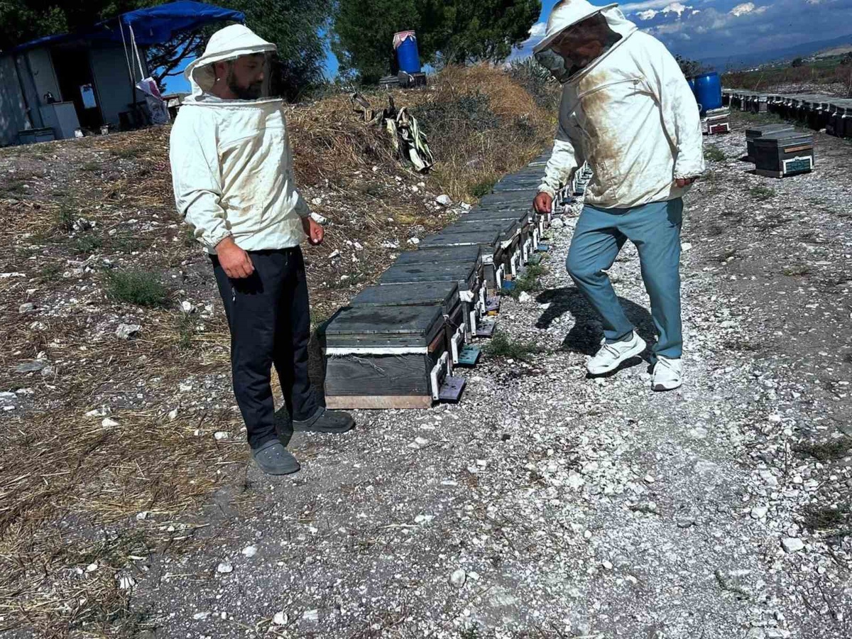 Aydın Didim'de Tarım ve Orman ekipleri arıcıların taleplerini sahada değerlendiriyor