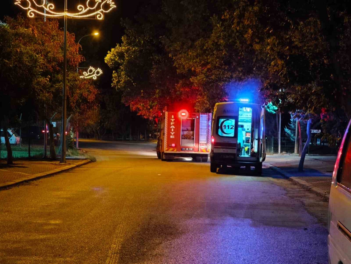 Bilecik Osmaneli'de Sakarya Nehri'ne düşen kişi, devrilen ağaca rağmen kurtarıldı