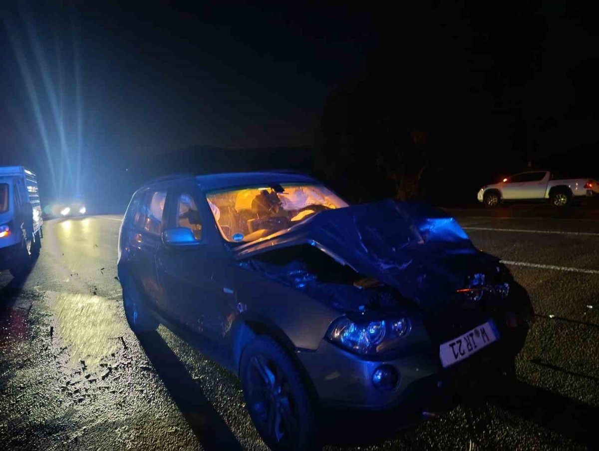 Bingöl'de otomobilin çarptığı at telef oldu, kazada 1 kişi yaralandı
