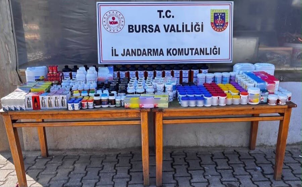 Bursa Gürsu'da jandarma operasyonunda 422 kaçak kuş ilacı ele geçirildi