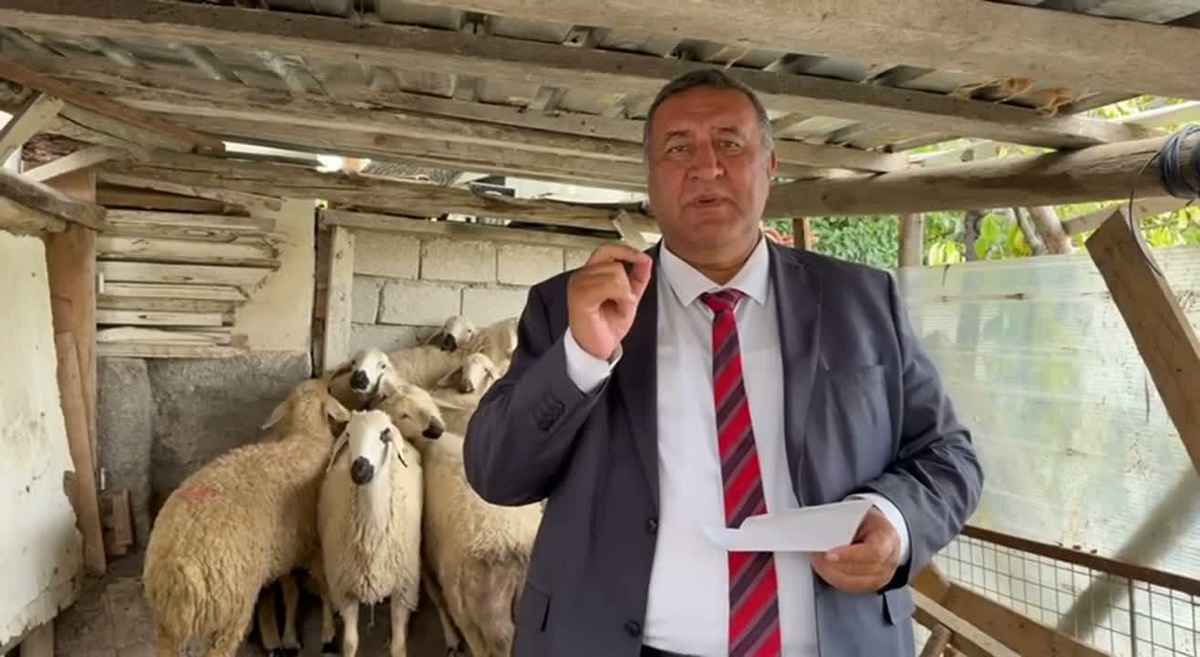 CHP'li Gürer, kırmızı ette 2 yılda yarım milyon ton kayıp olduğunu söyledi
